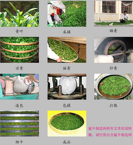 福建铁观音茶叶-茶叶制作全过程(图)